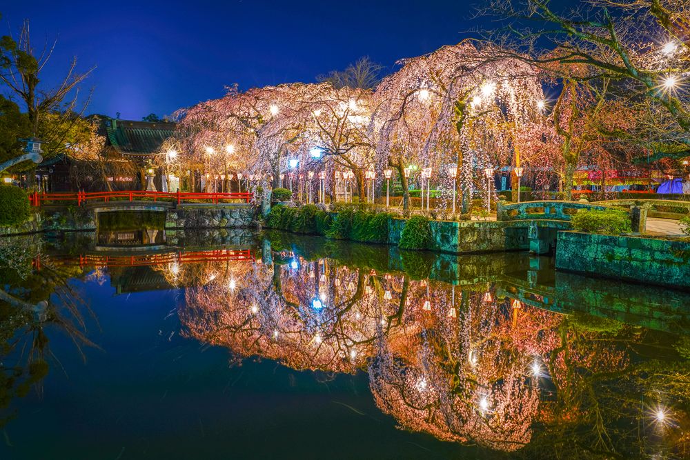 三嶋大社の画像 - 4枚目
