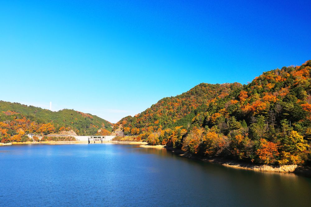 滝畑ダムの画像 - 5枚目