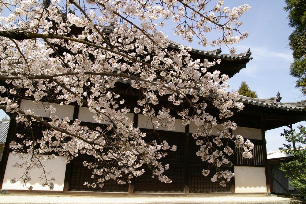 法輪寺の画像 - 2枚目