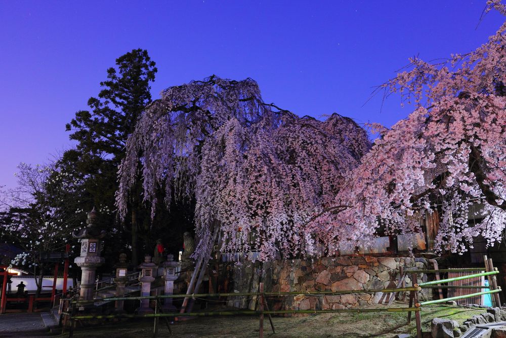 氷室神社の画像 - 3枚目