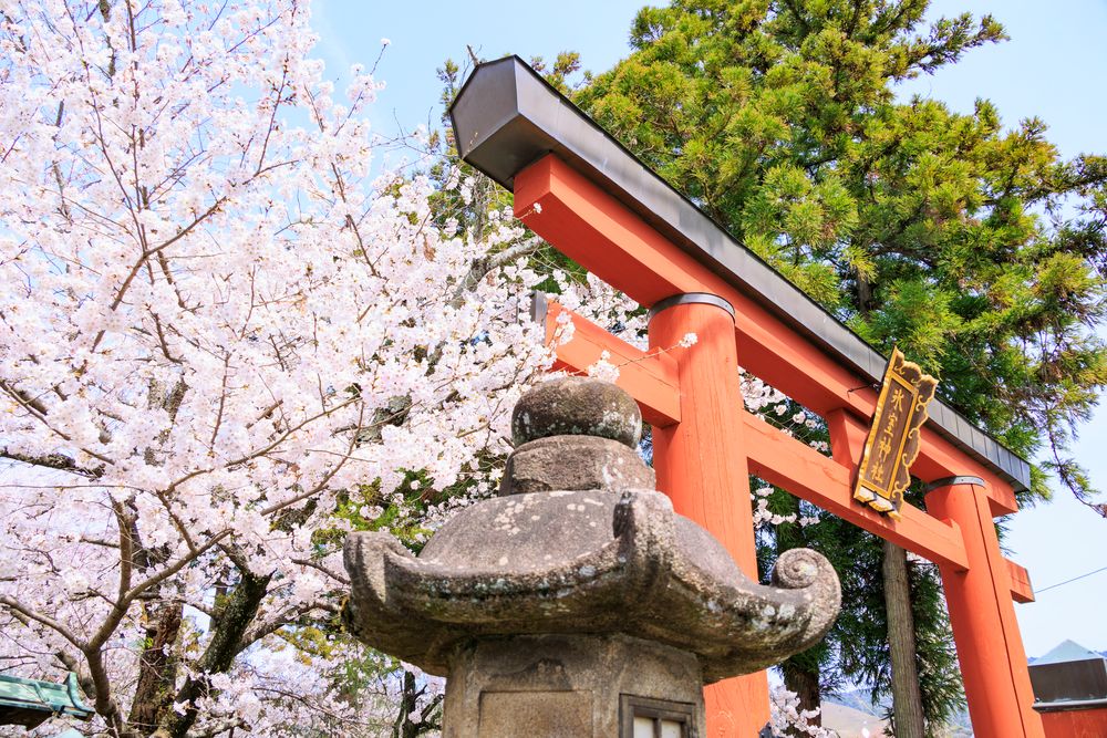 氷室神社の画像 - 4枚目