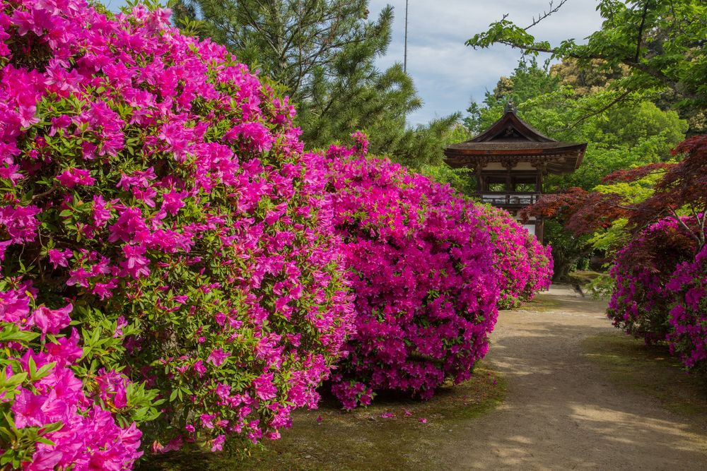 長岳寺の画像 - 2枚目
