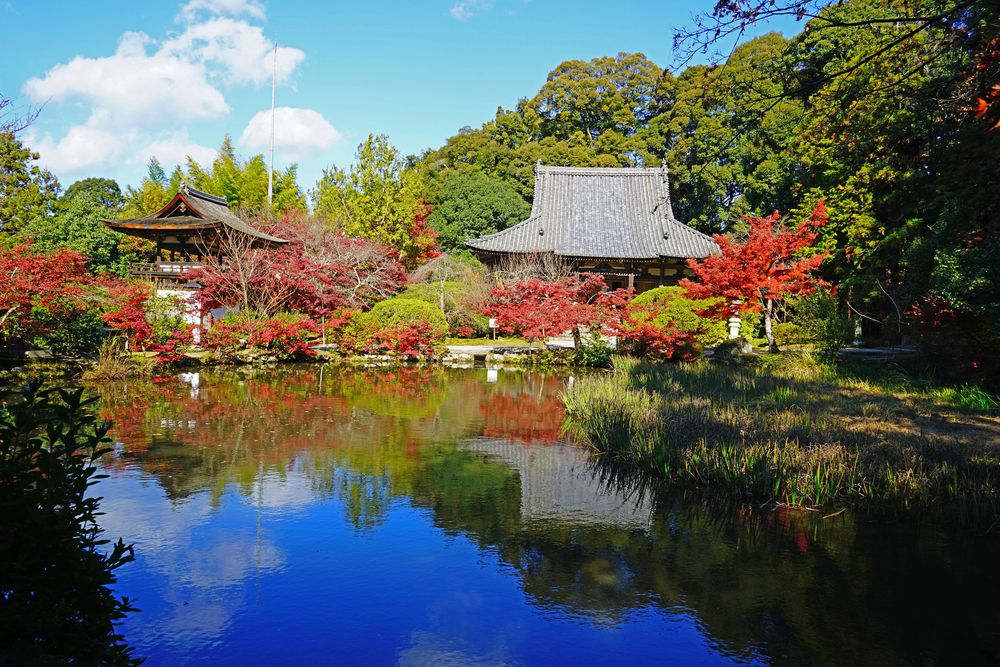 長岳寺