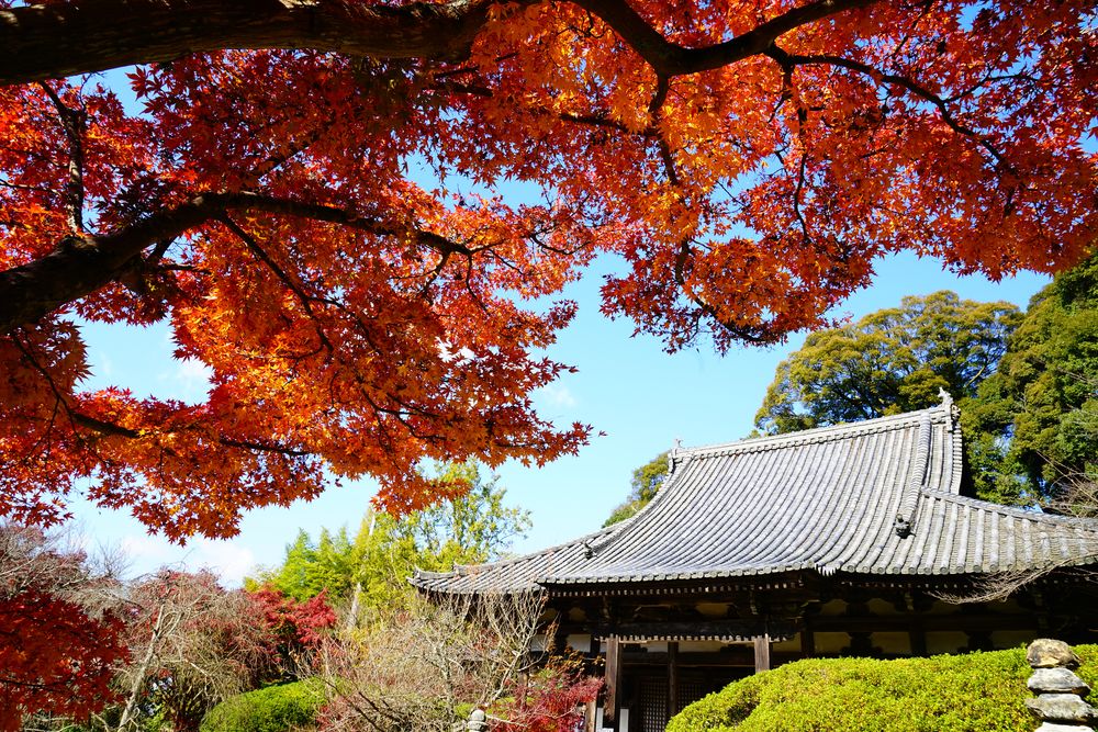 長岳寺の画像 - 3枚目