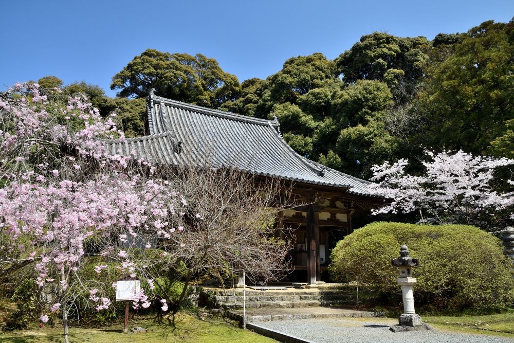 長岳寺の画像 - 5枚目