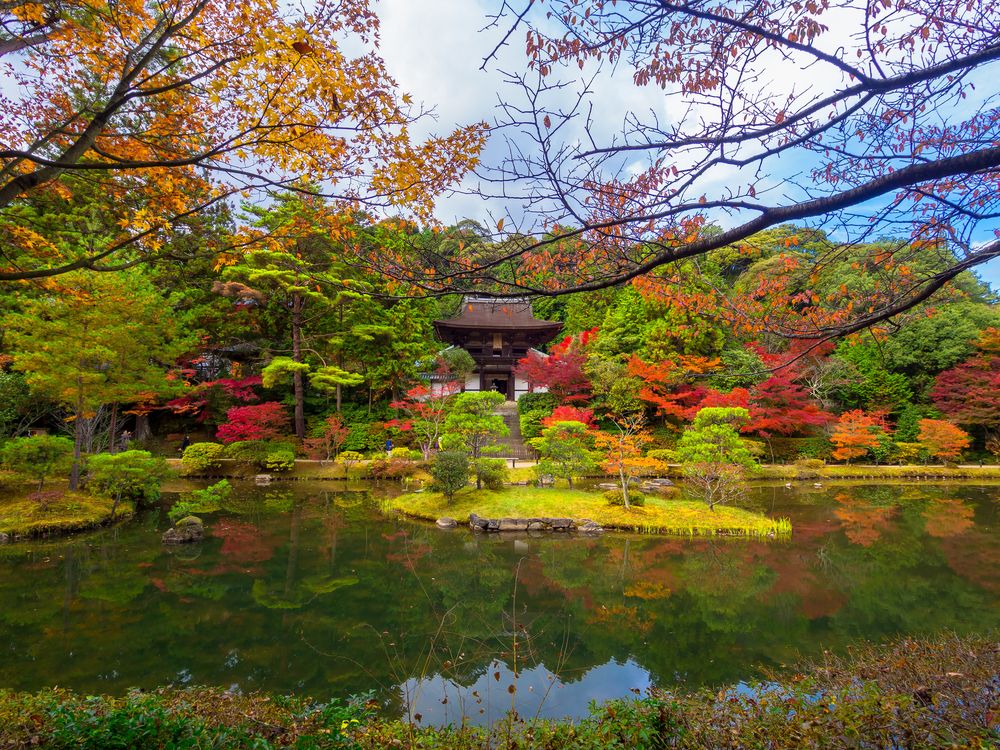 圓成寺の画像 - 2枚目