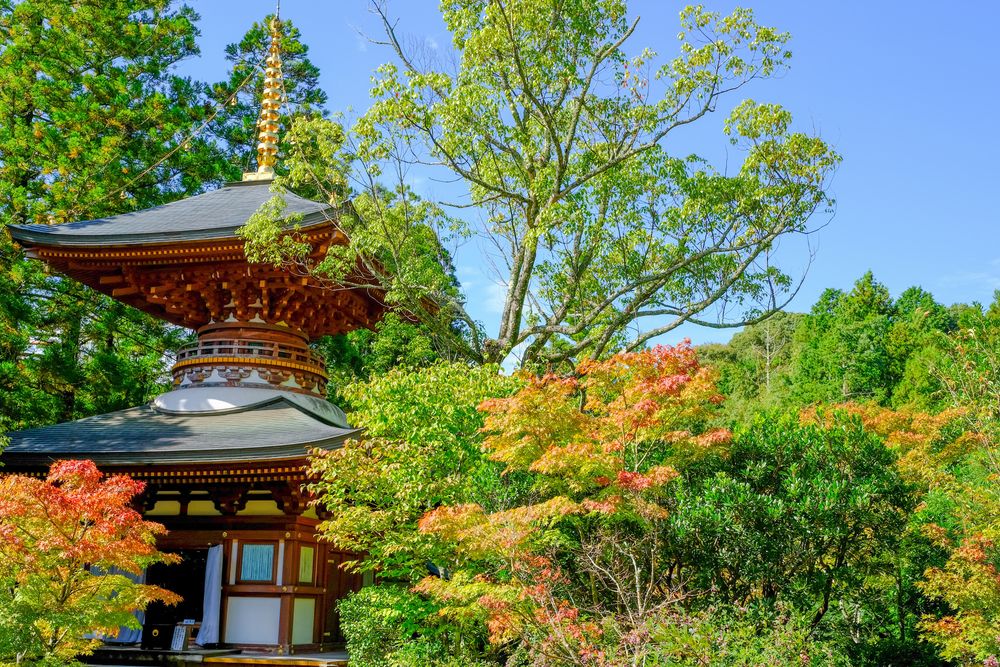 圓成寺の画像 - 3枚目