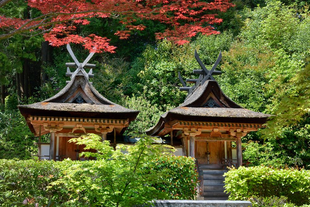 圓成寺の画像 - 4枚目