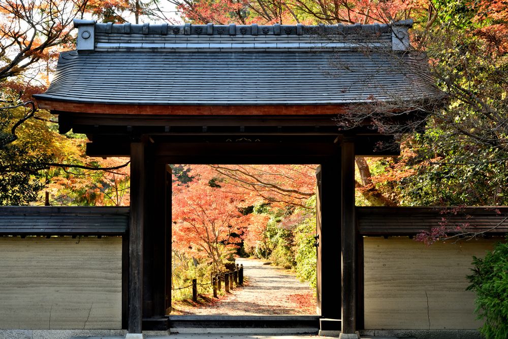 圓成寺の画像 - 5枚目
