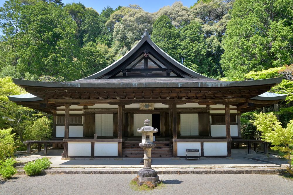 コレクション アイケア 圓城寺