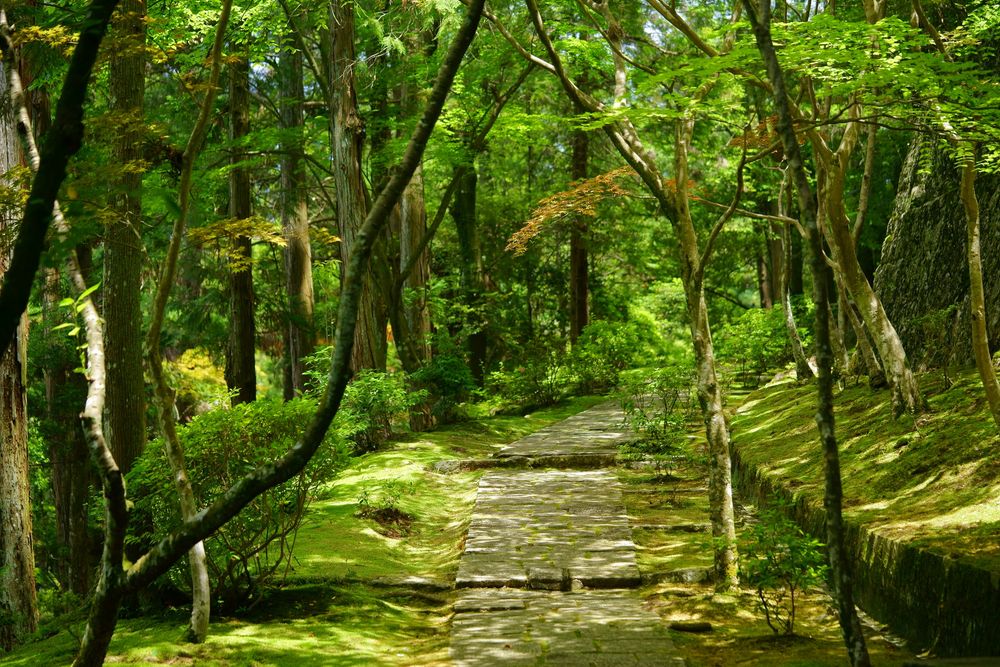 霊山寺の画像 - 2枚目