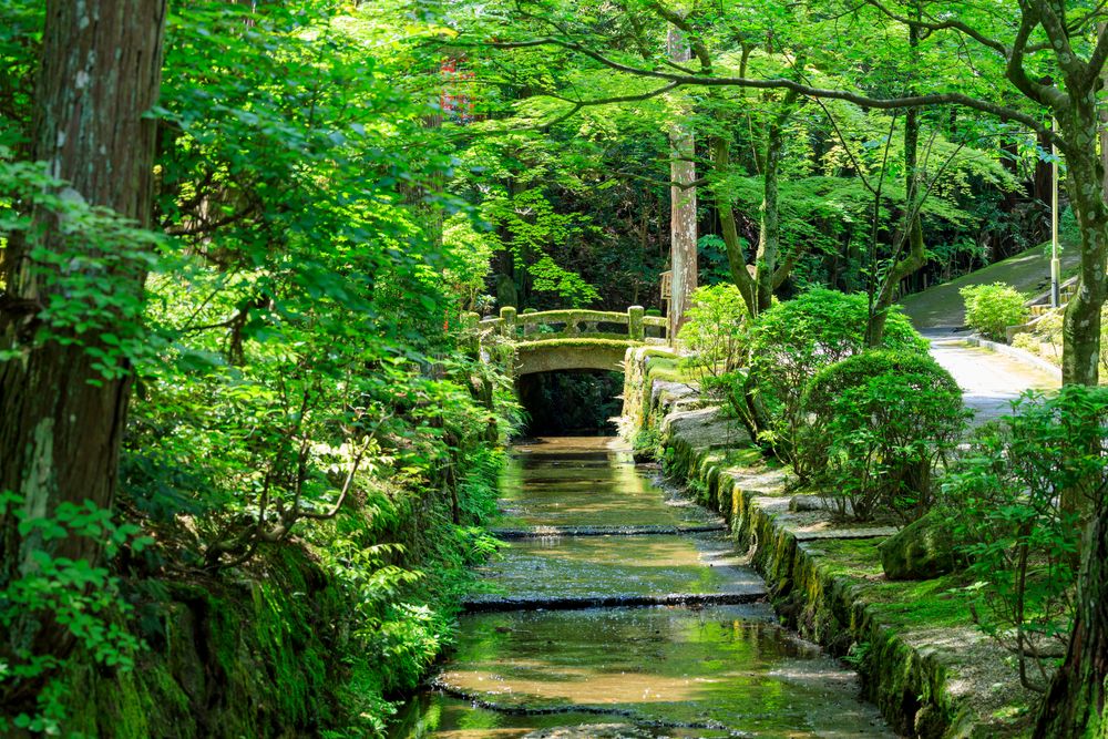 霊山寺の画像 - 5枚目