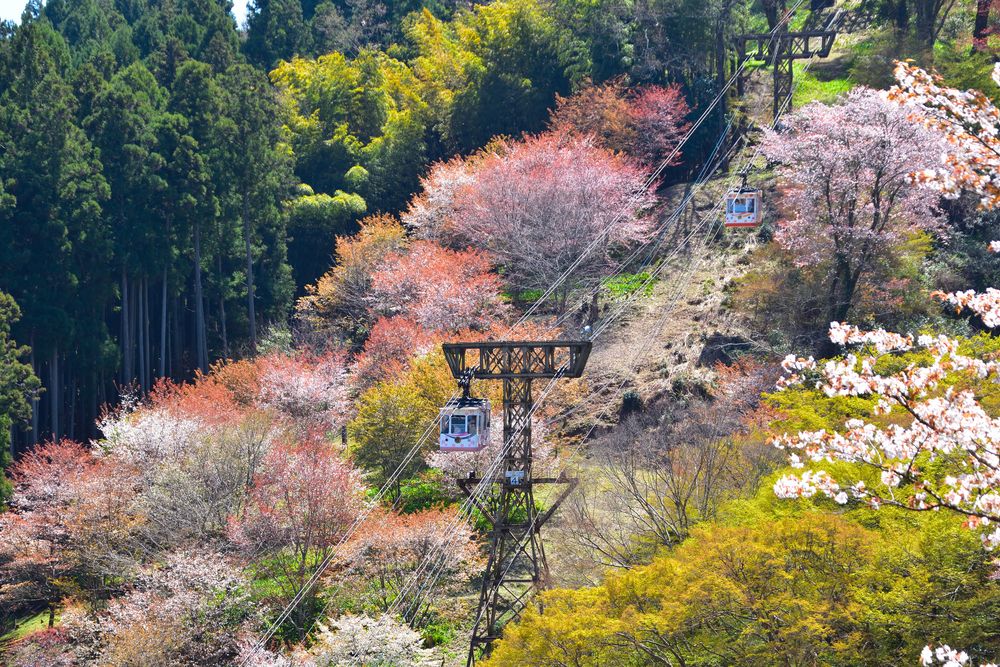 吉野ロープウェイの画像 - 2枚目