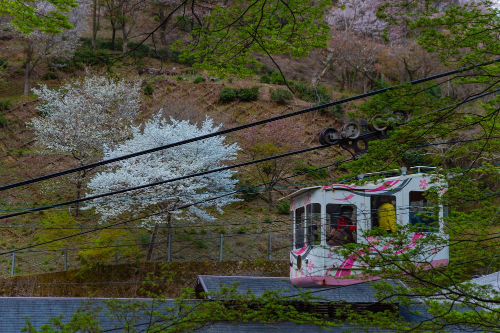 吉野ロープウェイの画像 - 5枚目