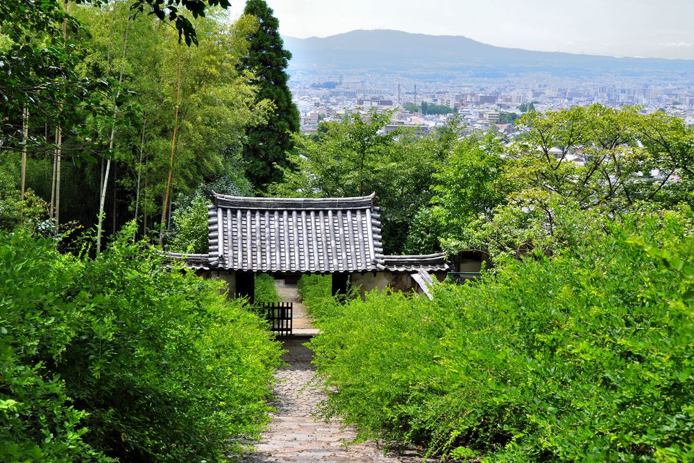 白毫寺の画像 - 3枚目
