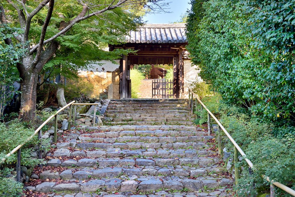 白毫寺の画像 - 4枚目