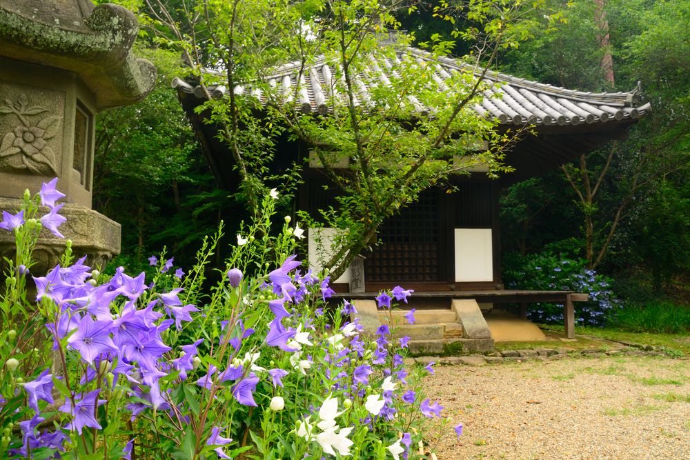 白毫寺の画像 - 5枚目