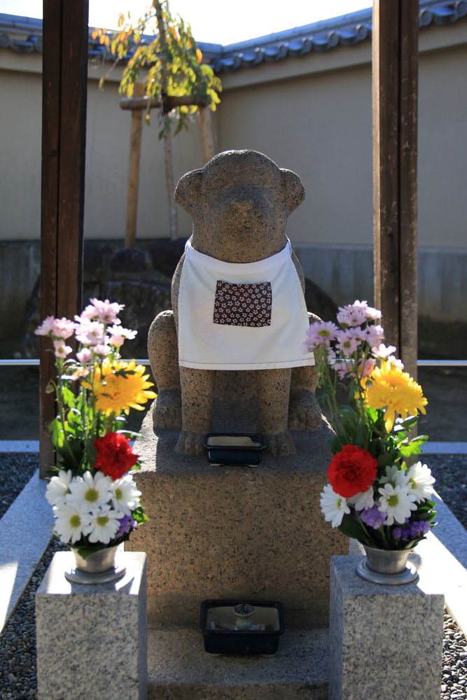 達磨寺の画像 - 2枚目