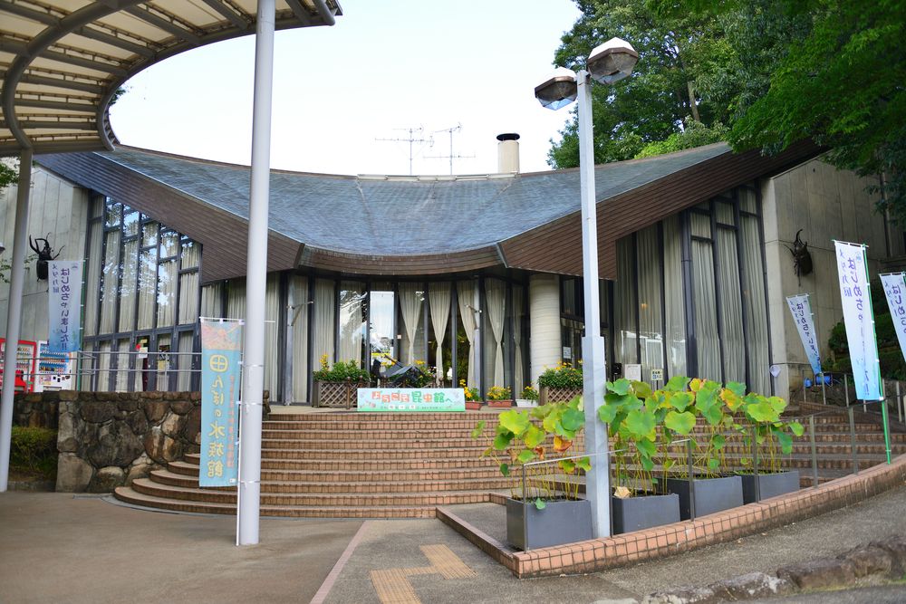 橿原市昆虫館の画像 - 3枚目