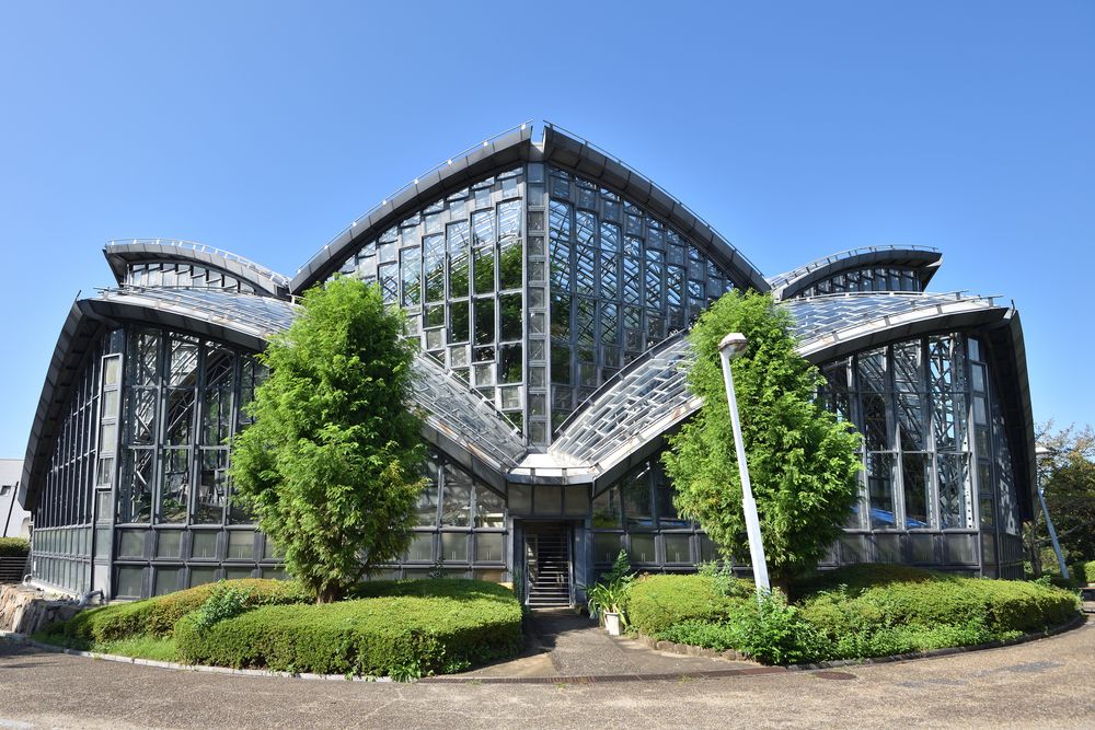 橿原市昆虫館の画像 - 4枚目