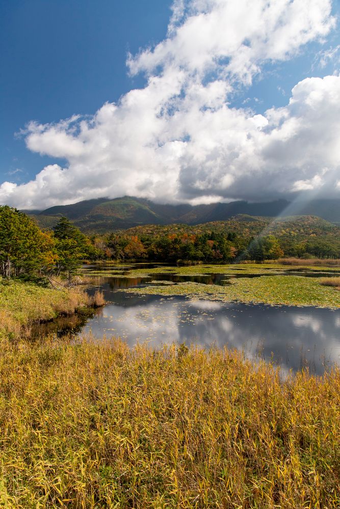 知床五湖の画像 - 2枚目