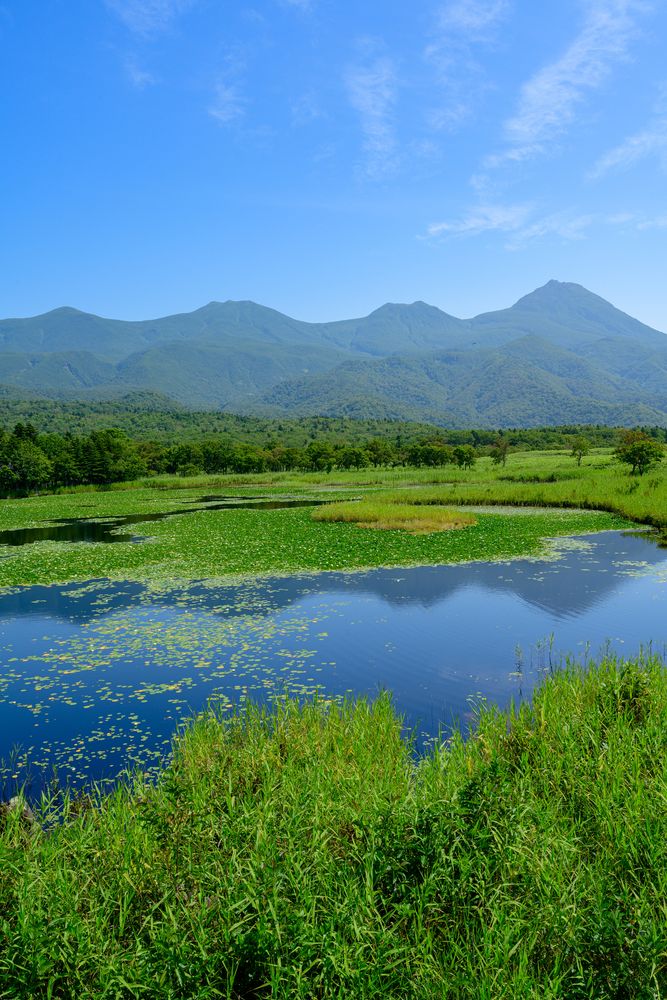 知床五湖の画像 - 5枚目