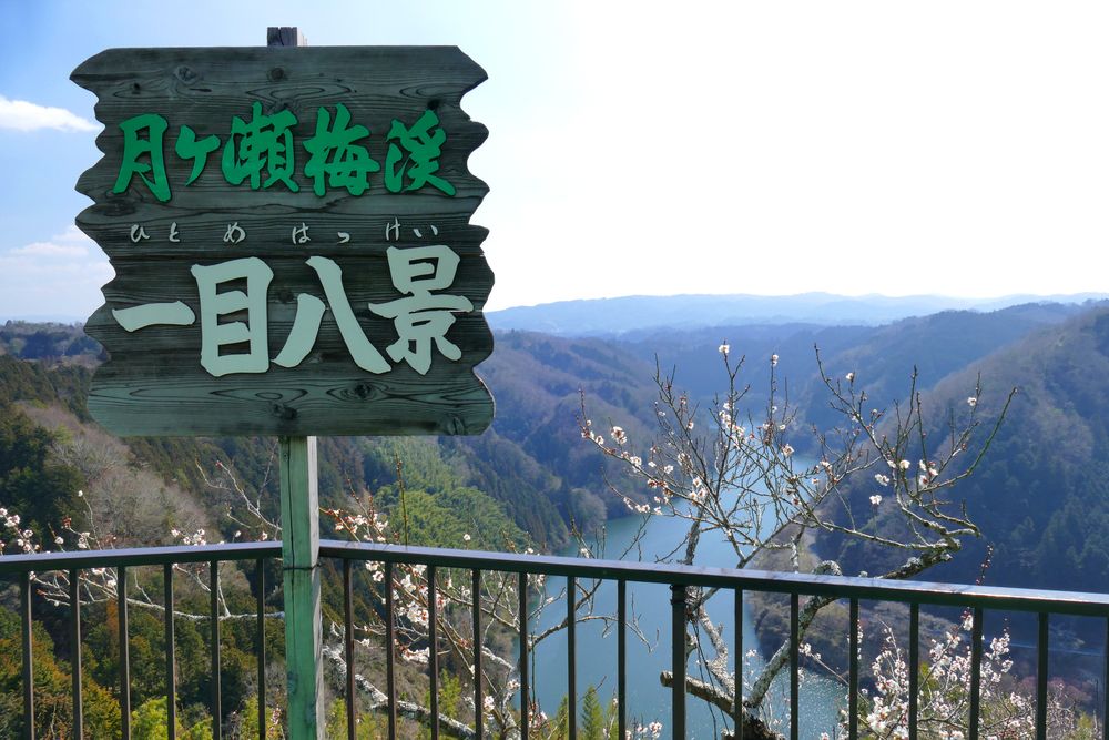 月ヶ瀬梅林の画像 - 3枚目