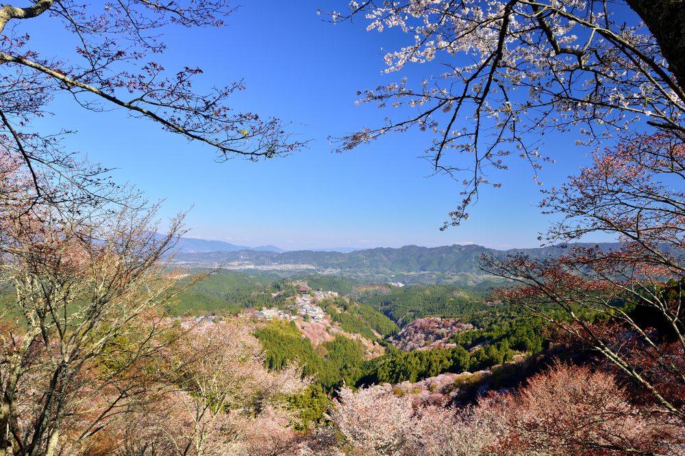 花矢倉展望台】の周辺スポット・アクセス・口コミ - Prism Japan