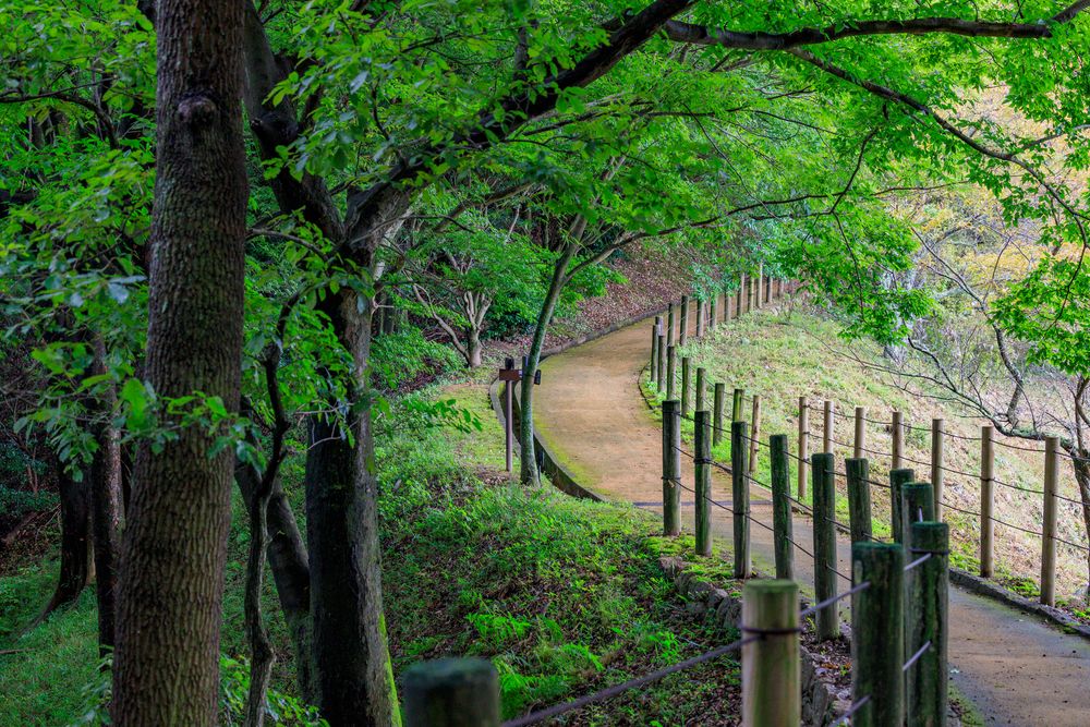 甘樫丘】の周辺スポット・アクセス・口コミ - Prism Japan