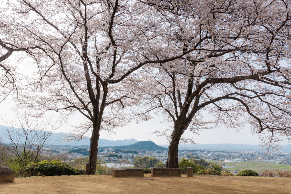 甘樫丘】の周辺スポット・アクセス・口コミ - Prism Japan