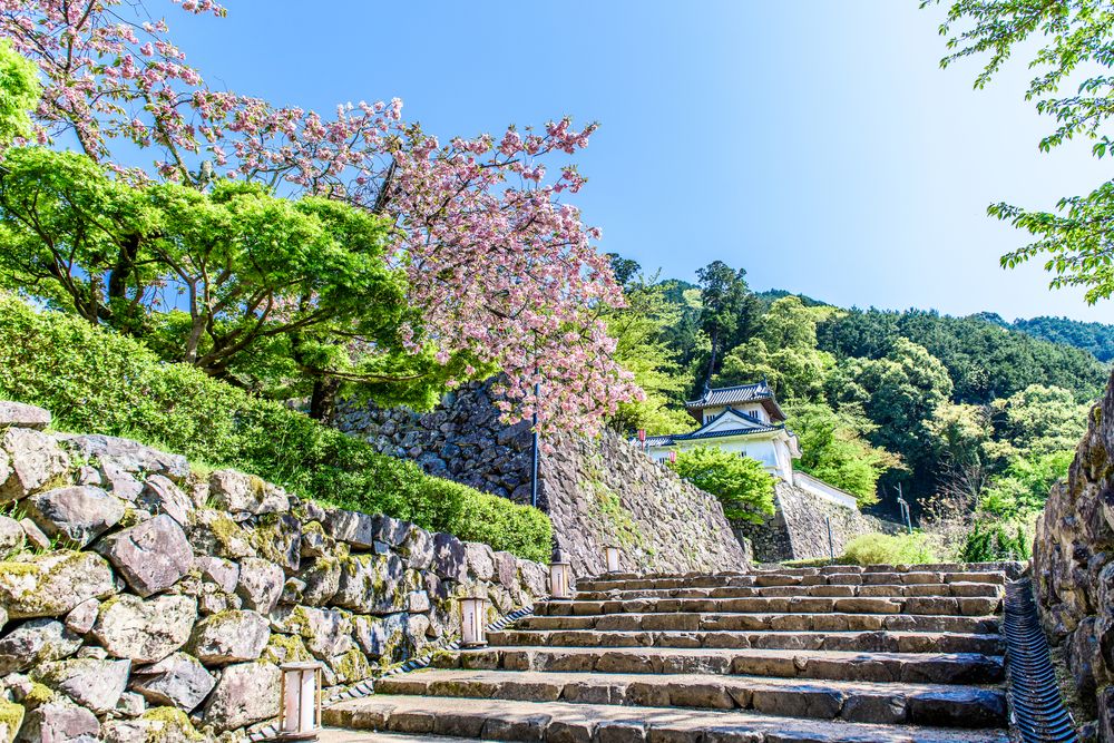 出石城跡の画像 - 2枚目