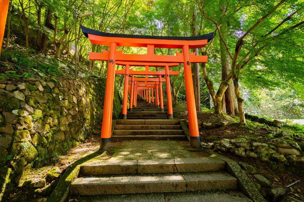 出石城跡の画像 - 4枚目