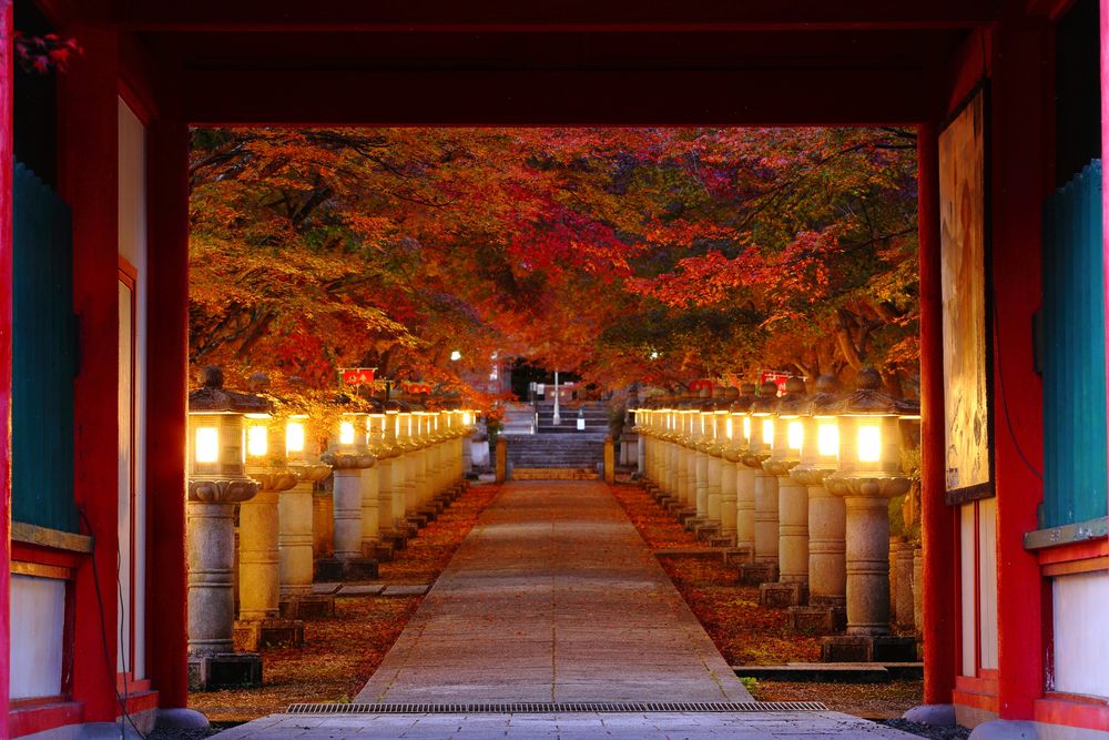 高山寺の画像 - 2枚目