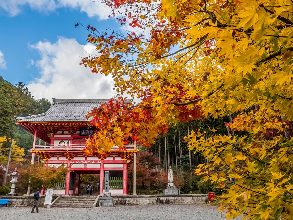 高山寺の画像 - 3枚目