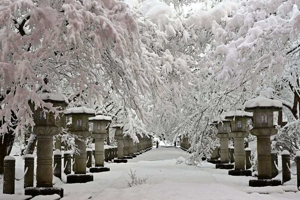 高山寺の画像 - 5枚目
