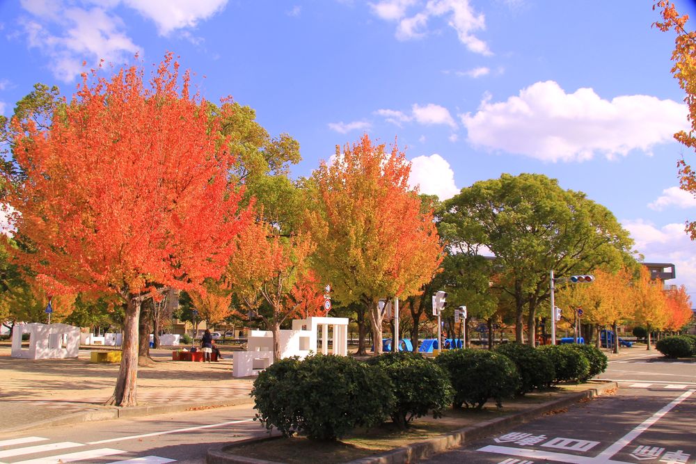 西武庫公園の画像 - 3枚目