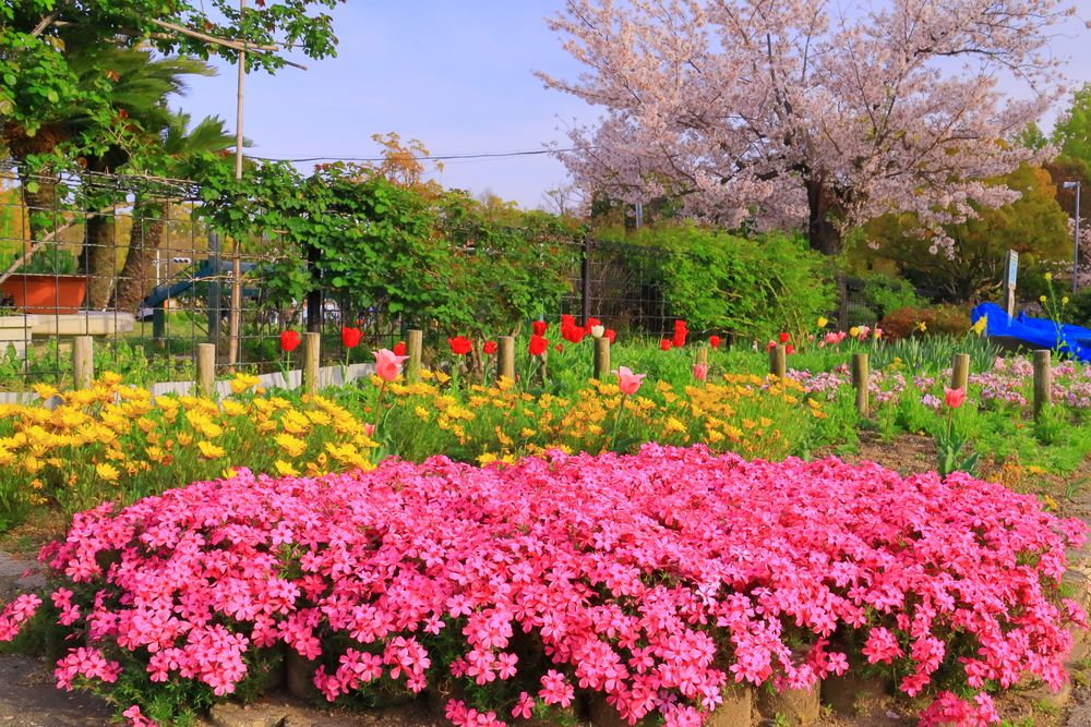 西武庫公園の画像 - 5枚目