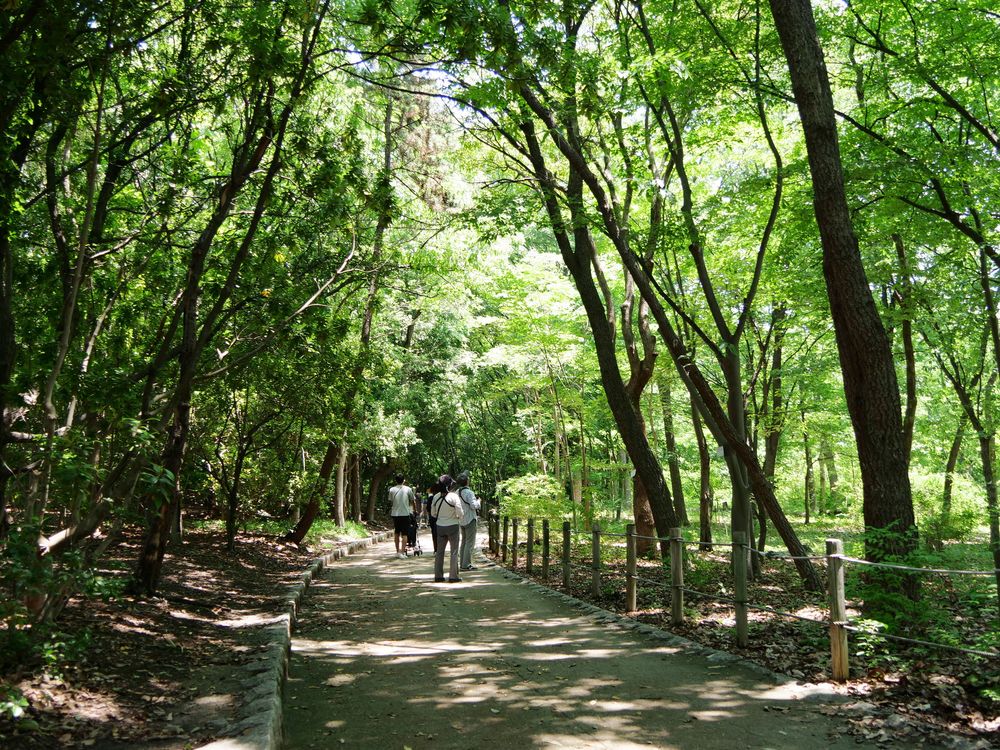 昆陽池公園の画像 - 4枚目
