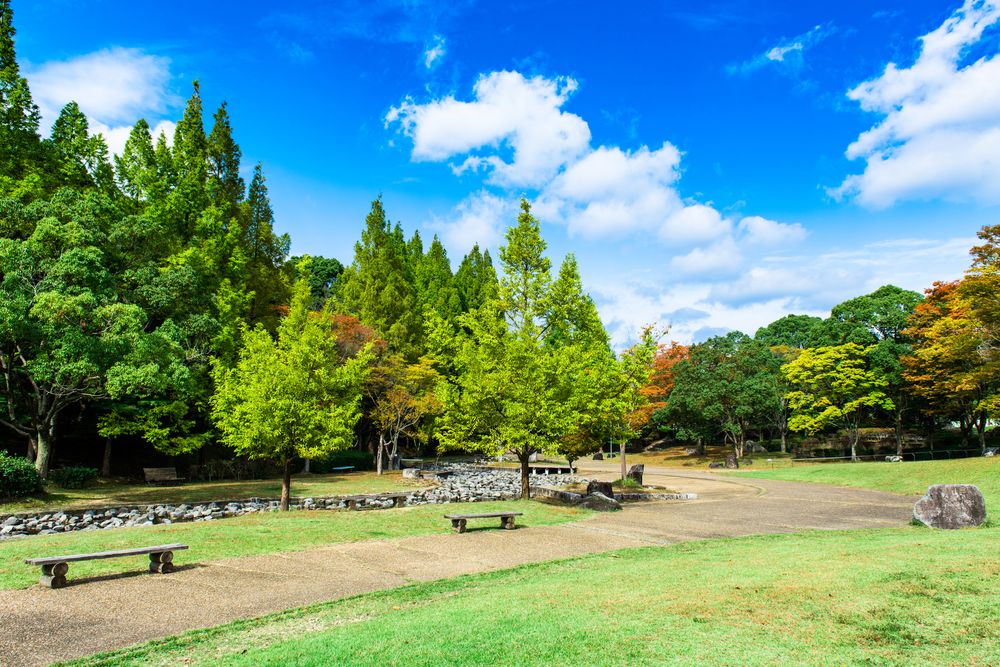 兵庫県立播磨中央公園の画像 - 2枚目