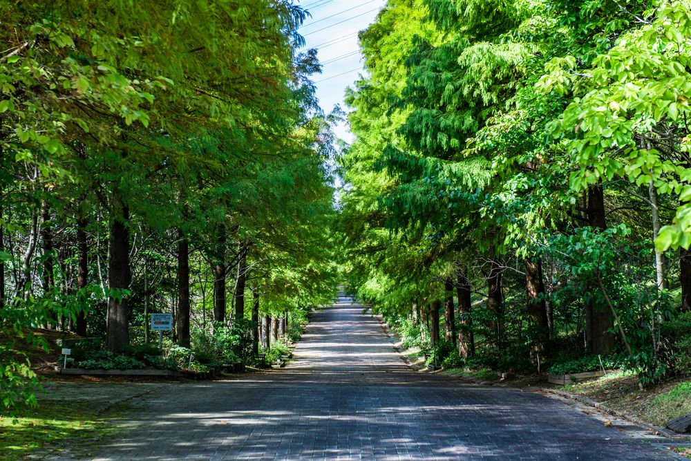 兵庫県立播磨中央公園の画像 - 4枚目