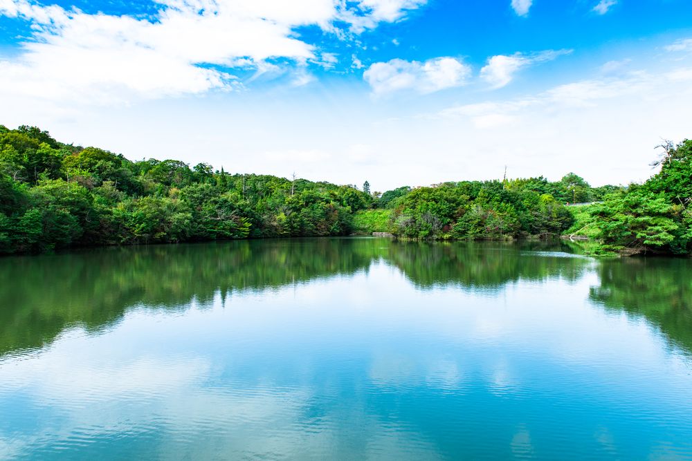 兵庫県立播磨中央公園の画像 - 5枚目