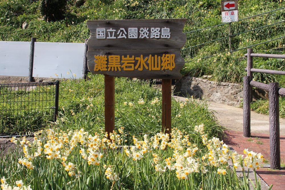 灘黒岩水仙郷の画像 - 2枚目