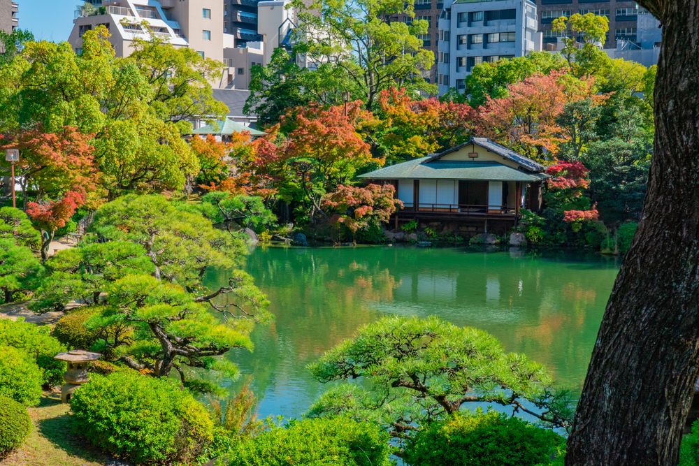 相楽園の画像 - 5枚目