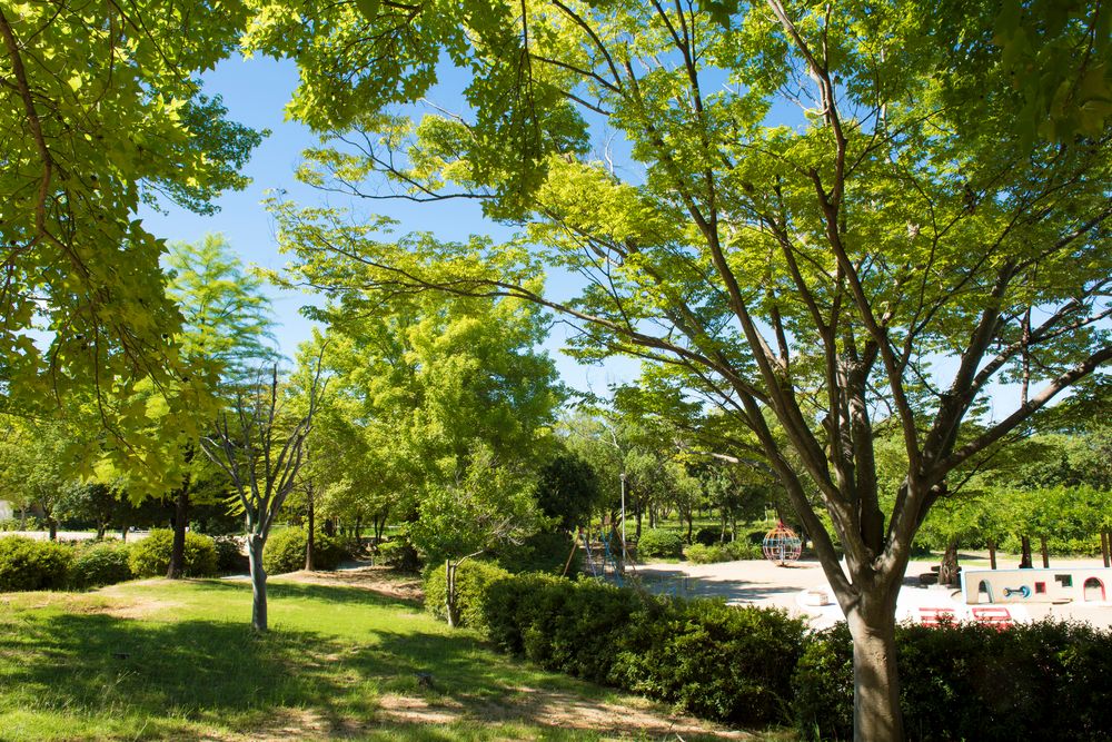 日岡山公園の画像 - 3枚目
