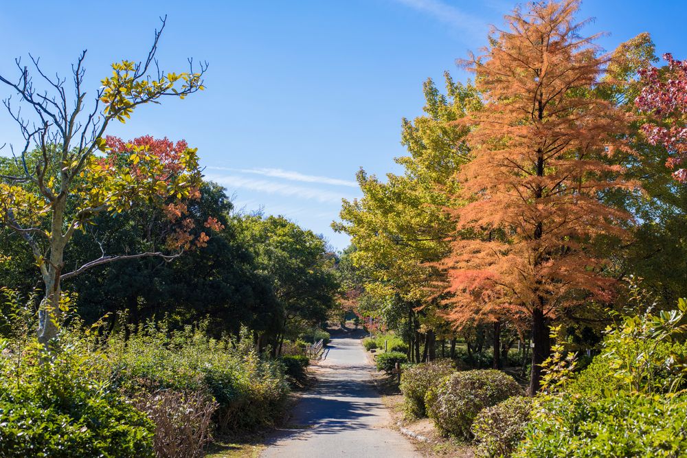 日岡山公園の画像 - 4枚目