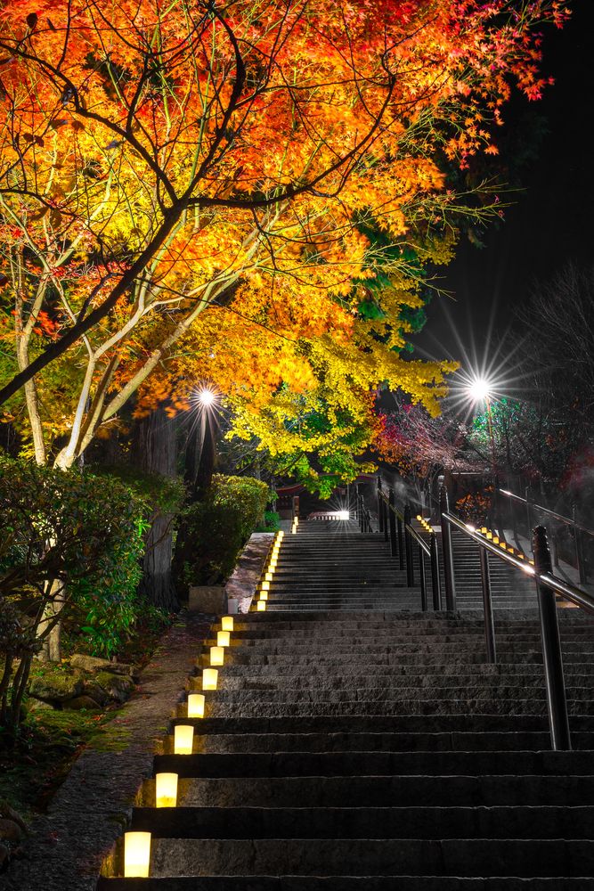 播州清水寺の画像 - 2枚目