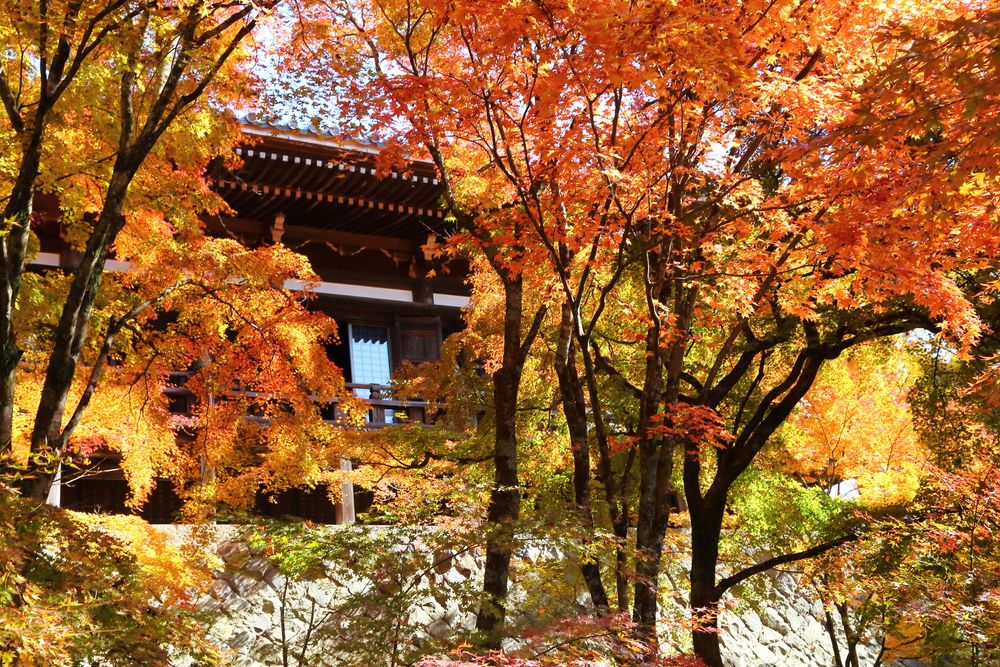 播州清水寺の画像 - 4枚目