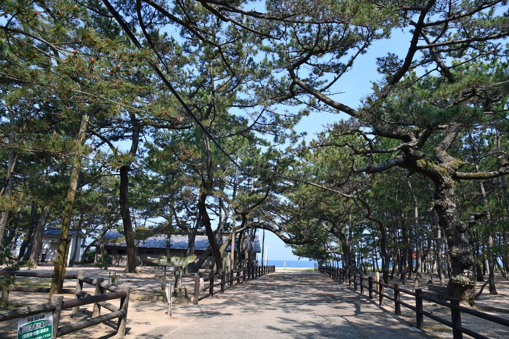 慶野松原海水浴場の画像 - 4枚目