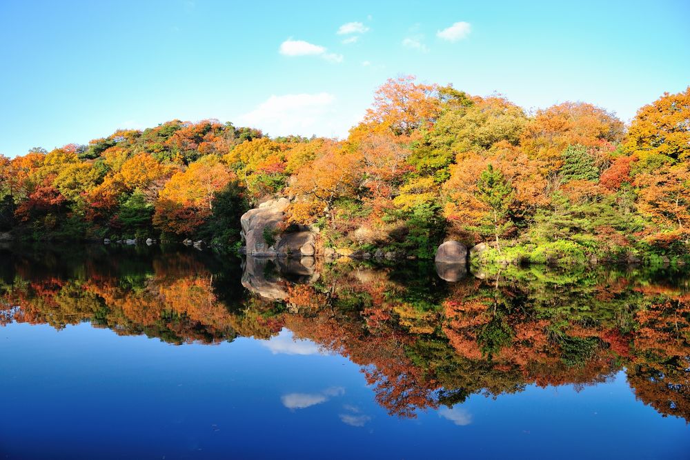 兵庫県立甲山森林公園の画像 - 3枚目