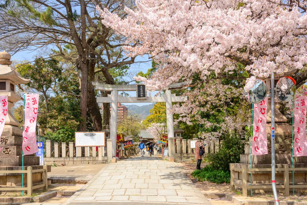 弓弦羽神社の画像 - 3枚目
